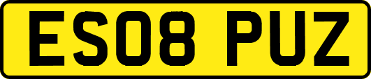 ES08PUZ