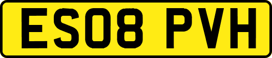 ES08PVH
