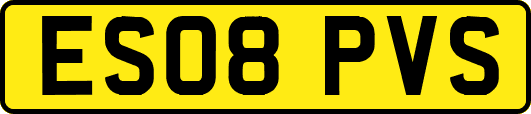 ES08PVS