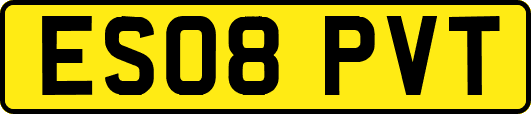 ES08PVT