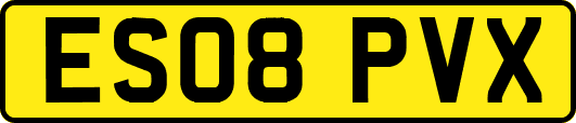 ES08PVX