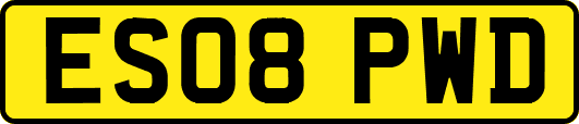 ES08PWD