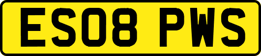 ES08PWS