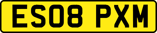 ES08PXM
