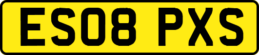ES08PXS