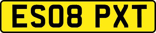 ES08PXT