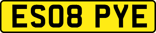 ES08PYE