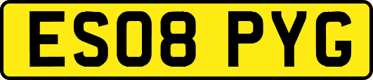 ES08PYG