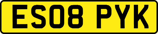 ES08PYK