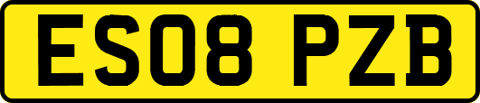ES08PZB