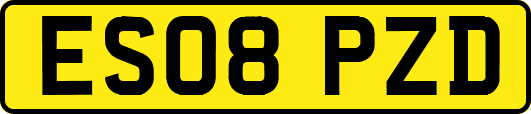 ES08PZD