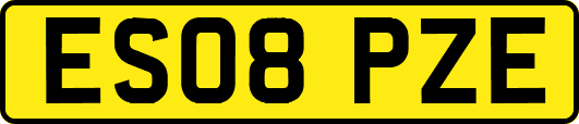 ES08PZE