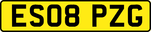 ES08PZG