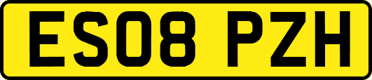 ES08PZH