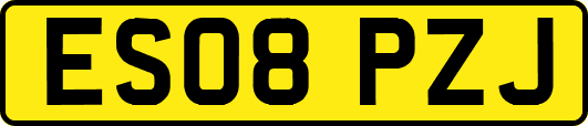 ES08PZJ
