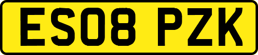 ES08PZK