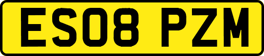 ES08PZM