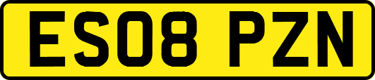 ES08PZN