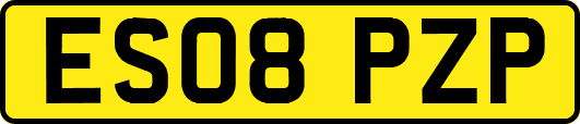ES08PZP