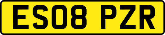 ES08PZR