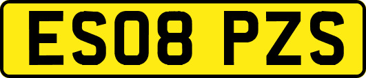 ES08PZS