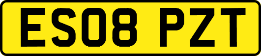 ES08PZT