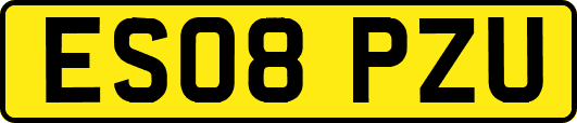 ES08PZU