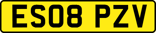 ES08PZV