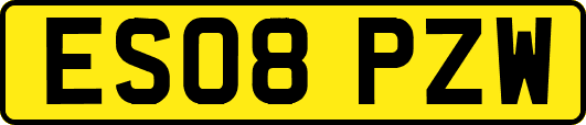 ES08PZW