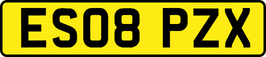 ES08PZX
