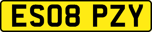 ES08PZY