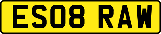 ES08RAW
