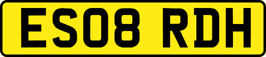 ES08RDH