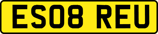 ES08REU