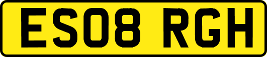 ES08RGH