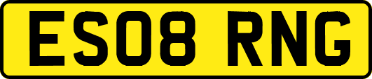 ES08RNG