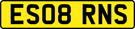 ES08RNS