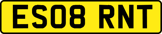 ES08RNT