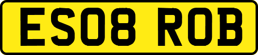 ES08ROB