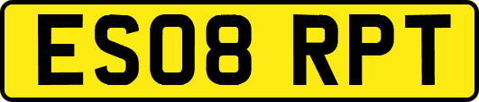 ES08RPT