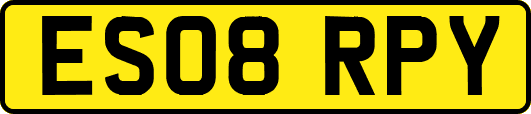 ES08RPY