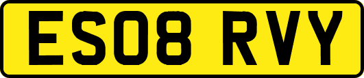 ES08RVY