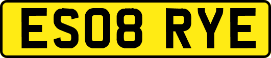 ES08RYE