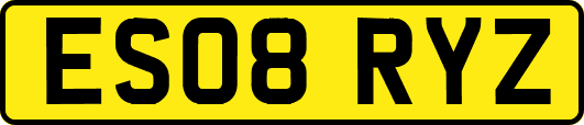ES08RYZ