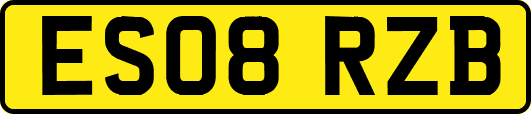 ES08RZB