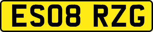ES08RZG