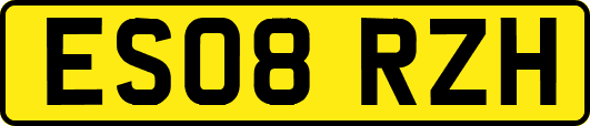 ES08RZH