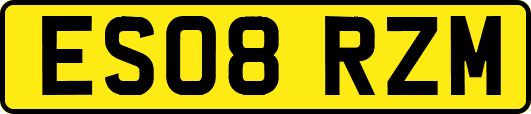 ES08RZM