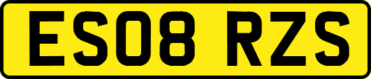 ES08RZS