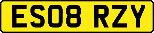 ES08RZY